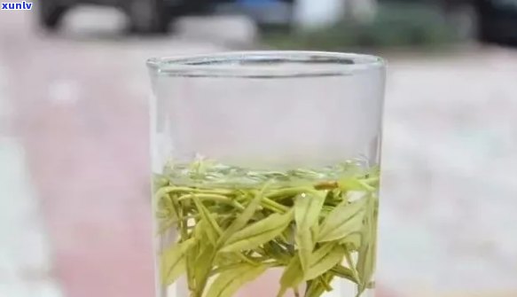 雨前茶价格：多少钱一斤？雨前茶上市时间？雨前茶口感如何？有哪些品种？