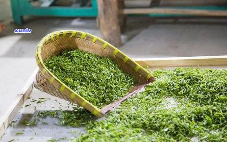 普洱茶中的明前茶与雨前茶：两种不同节的特色茶品