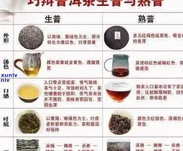 探究普洱茶八级原料表：品质、产地与 *** 工艺的深度剖析