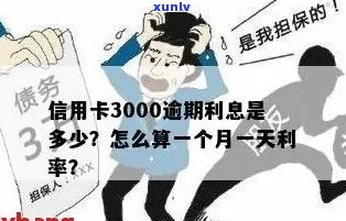 信用卡逾期3000元长达1年，我该如何解决这个问题？