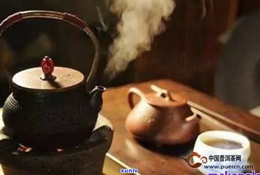 普洱茶的冲泡 *** 及煮茶效果解析：何时煮茶更适合？