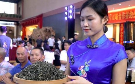 中吉号普洱茶官网2018年报价：品质越，古树茶香