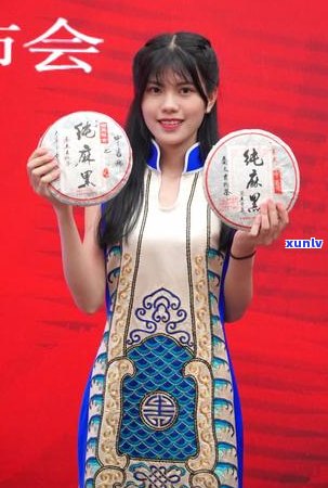 中吉号普洱茶官网2018年报价：品质越，古树茶香