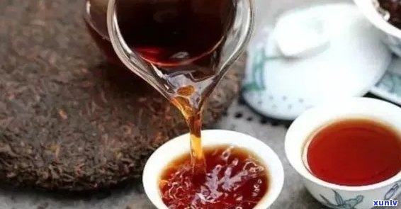 普洱茶的泡法与搭配：什么茶叶最适合与普洱茶一起泡？