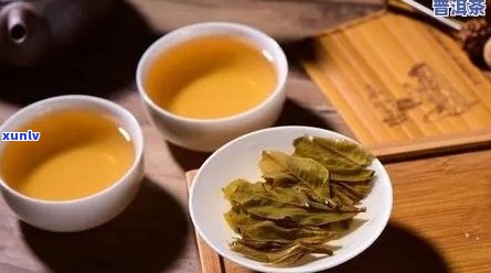 普洱茶的泡法与搭配：什么茶叶最适合与普洱茶一起泡？