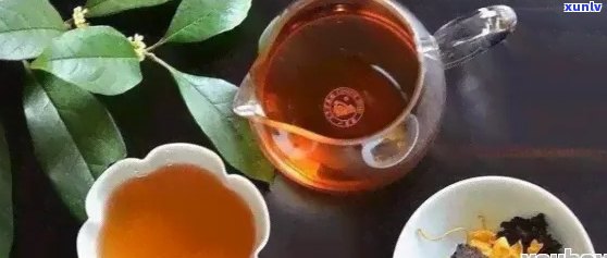 普洱茶的泡法与搭配：什么茶叶最适合与普洱茶一起泡？