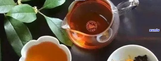 普洱茶泡法大揭秘！什么搭配让普洱茶更美味？