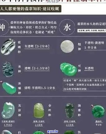 翡翠首饰：全面解析各类别名称与选购技巧，助您轻松成为专家