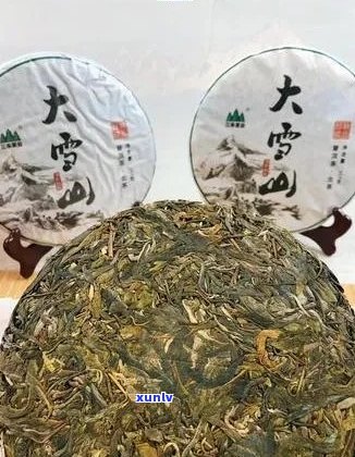 勐库牌大雪山普洱茶：品种特点、 *** 工艺与品鉴 *** 的全面解析