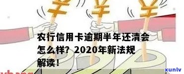 农行信用卡逾期费用交现金吗？2020新法规详解