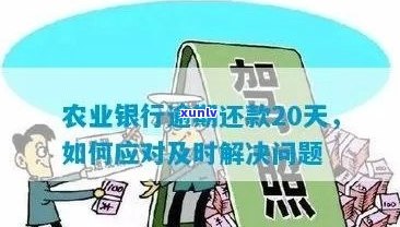 农行信用卡逾期费用高解决 *** 及影响分析