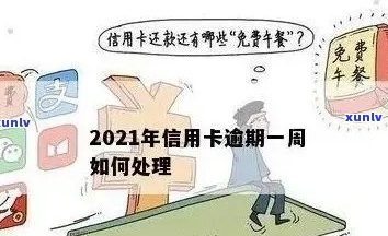 2021年信用卡年费逾期新政策：全面解读、应对策略和常见疑问解答