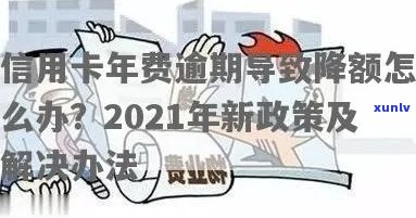 2021年信用卡年费逾期新政策：全面解读、应对策略和常见疑问解答