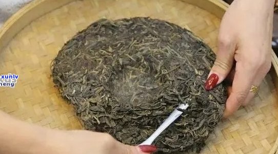 泡普洱茶饼的全过程