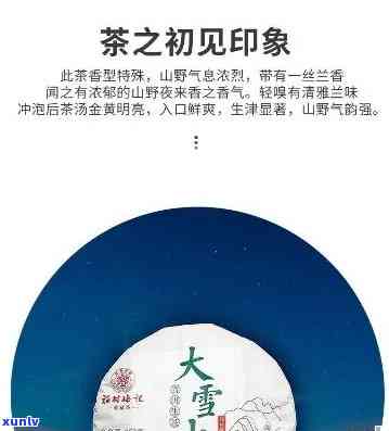 云南大雪山普洱茶价格、产地、品质及购买指南 - 全面了解普洱茶相关信息