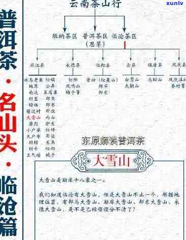 云南大雪山普洱茶产区及价格