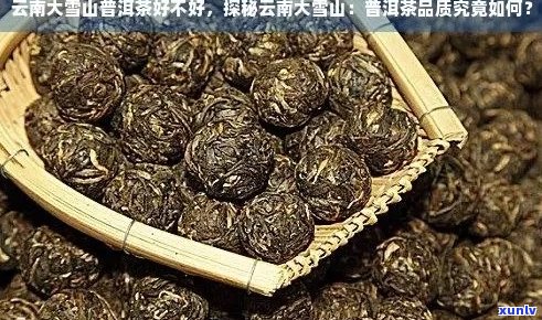 云南大雪山普洱茶：品质优良，值得品尝！