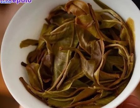 一道普洱茶能泡多少茶：探究普洱茶泡制的关键参数