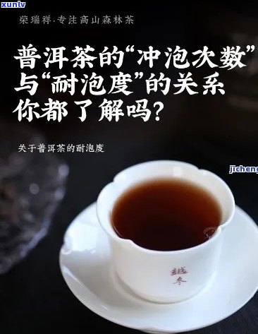 探究普洱茶泡饮量：一壶茶水能容纳多少毫升？如何控制泡茶浓度？