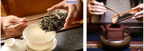 普洱茶一泡是什么意思：每次冲泡时间、用量、水量及泡数