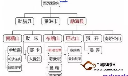 六大山头普洱茶特色对比：古树茶、大叶种、小叶种、生茶、熟茶、勐海茶