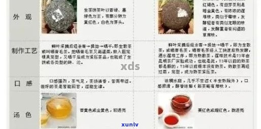 从外包装识别普洱茶品质：实用指南与重要因素