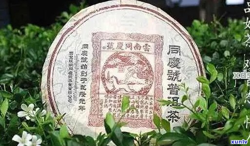 同兴号普洱茶厂：历、产品与工艺的全面解析