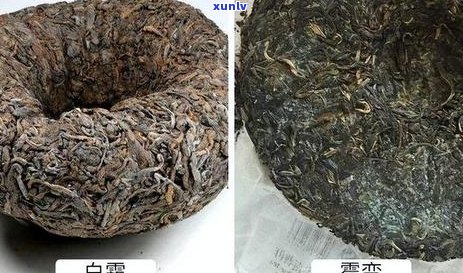 普洱茶泡后如何正确保存，以防止口感变差和茶叶变质？