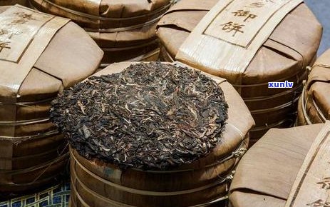 普洱茶泡后如何正确保存，以防止口感变差和茶叶变质？