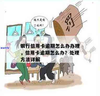 银行怎么处理信用卡逾期