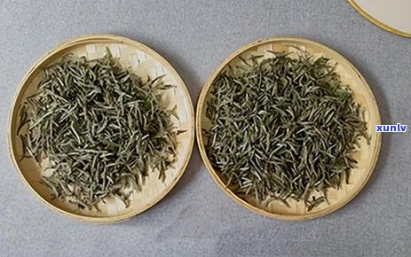 普洱茶可以隔夜饮用吗？如何正确保存普洱茶以保持其品质？