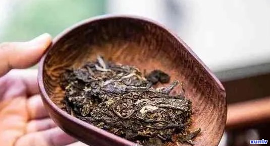 普洱茶可以隔夜饮用吗？如何正确保存普洱茶以保持其品质？