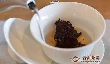 新 普洱茶口感短暂，如何让它的香气更持久