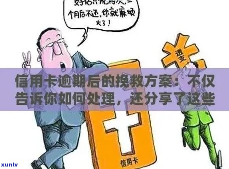 信用卡逾期40天的影响：理解你的财务状况和信用修复途径