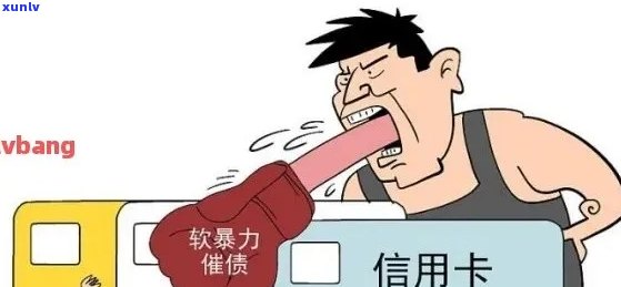 普洱茶纯料的全面定义与解读：了解其原料、 *** 工艺及品质特点