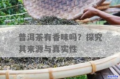 探究普洱茶特别浓口感背后的真实性：以科学角度解析这一现象