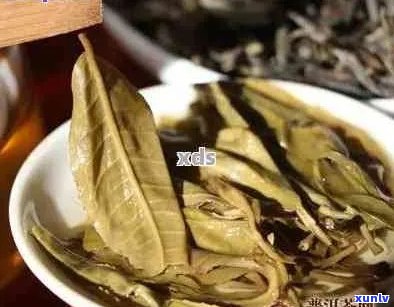 勐库普洱茶品种有哪些？如何鉴别？