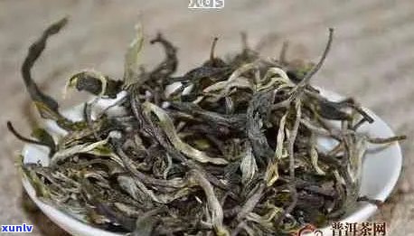 勐库普洱茶品种有哪些？如何鉴别？