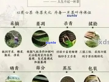 勐库普洱茶品种有哪些？如何鉴别？