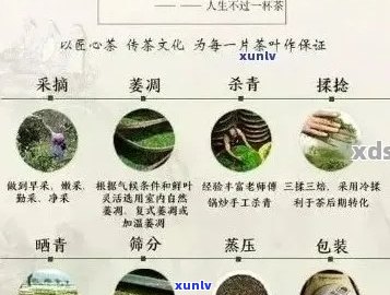 勐库普洱茶的特点及其鉴别 *** ：一篇全面了解勐库普洱茶的指南