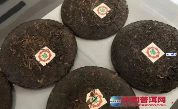 探究普洱茶广云贡饼的独特魅力及其深厚文化底蕴