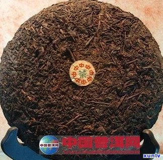 探究普洱茶广云贡饼的独特魅力及其深厚文化底蕴