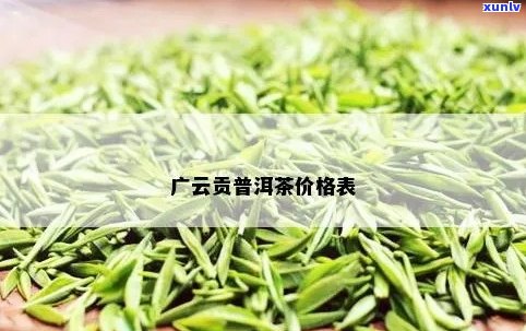 广云贡普洱茶价格表