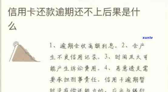 全面了解信用卡逾期还款政策：如何避免逾期、期还款和利息计算等相关问题