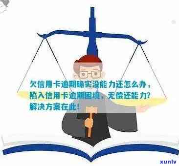 新信用卡逾期还款困局：如何应对无能力偿还的挑战？