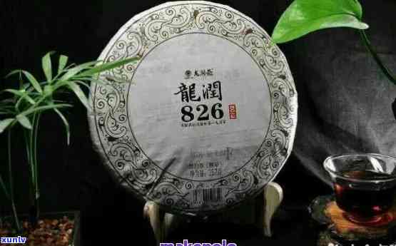 龙润普洱茶：源头正品，历韵味，品鉴新体验 - 官方网站