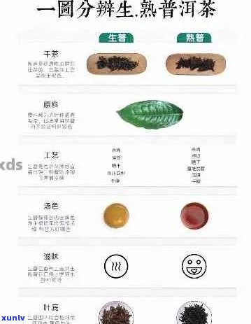 普洱茶生熟混搭：是否可行？存与品饮的技巧全解析