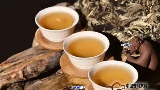 普洱茶的口感、功效和冲泡 *** ：树枝一样的茶能喝吗？