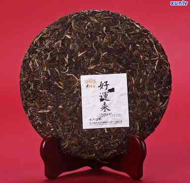 好运来普洱茶怎么样