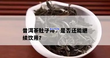 喝完普洱茶小肚子疼